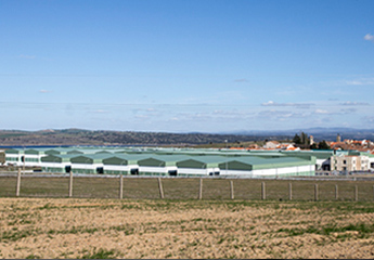 Dehesa de Guijuelo Origen