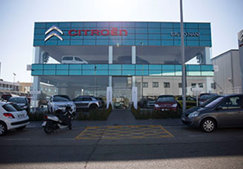 Grupo Nani Origen