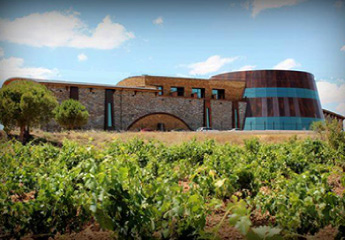 Origen Bodegas Dominios de Cair