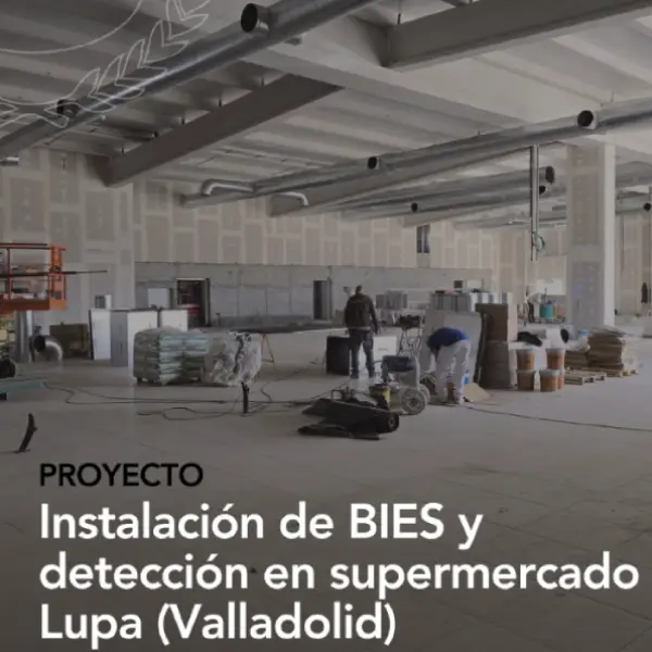 Instalación de BIES en Lupa Valladolid