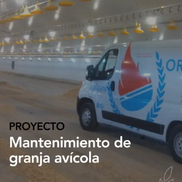 Mantenimiento de granja avícola