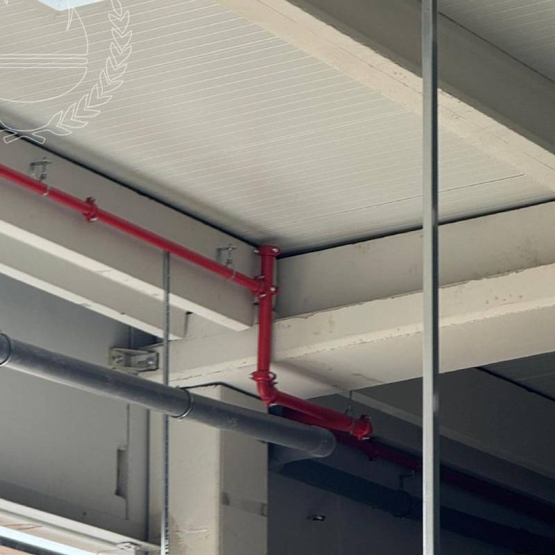 Instalación de la Red Bies en el nuevo Supermercado Lupa